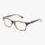 Tortoise Brown